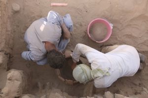 huesos excavación arqueología
