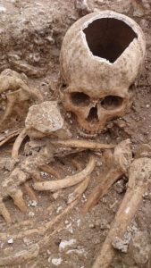 cráneo huesos excavación